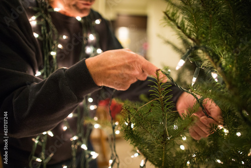 Detailed view of man putting lights on a live Christmas Tree