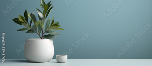 Potted plant background, with copy space, greenery