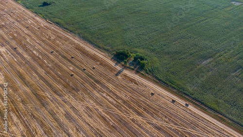 Fototapeta Naklejka Na Ścianę i Meble -  Square hay bales in field after harvest, aerial shot near city of Botevgrad, Bulgaria