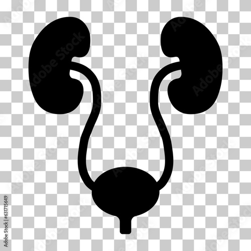 Urology health human icon, anatomy medical body bladder sign, biology vector illustration