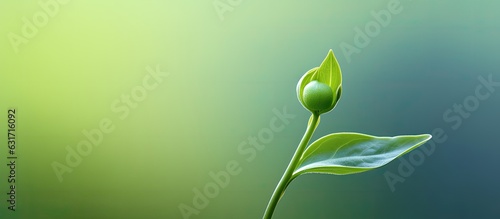 A green macro stem is featured on a green blurred background, with space available for copying. related to gardening, with room for additional content. photo