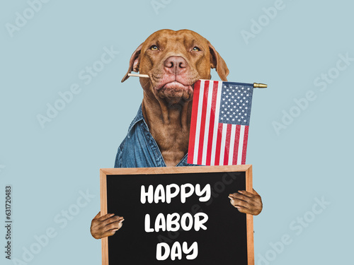 Happy Labor Day. Cute brown dog and a board with a congratulatory inscription. Close-up, indoors. Studio photo. Congratulations for relatives, loved ones, friends and colleagues. Pets care concept