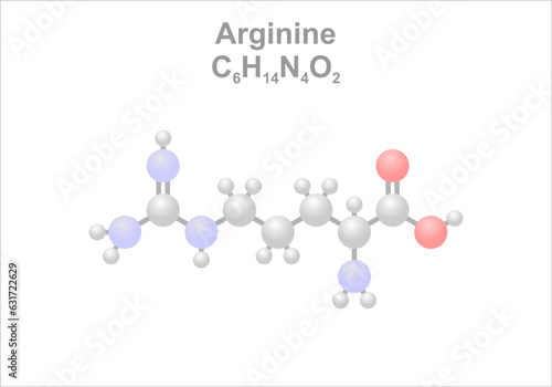 Arginine. Simplified scheme of the molecule