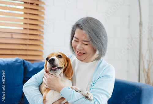 Happy asian senior woman retirement enjoying her dog pet in the home, Friendship pet and human lifestyle concept.