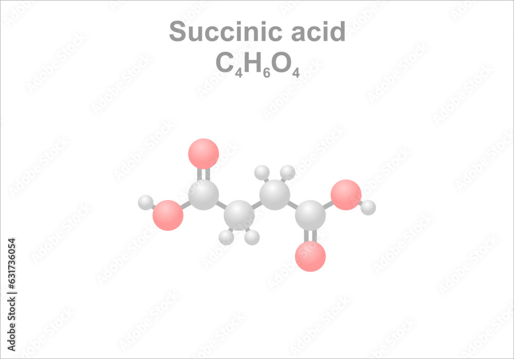 Succinic acid. Simplified scheme of the molecule. Use as flavor enhancer.