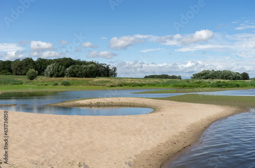 Elbe landscape with rolling sand dunes and wild birds in Saxony-Anhalt in summer