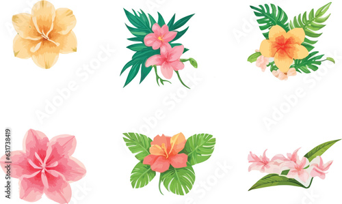 set of tropical flower, hand drawn, flat trendy cartoon elements ,chidden,vector