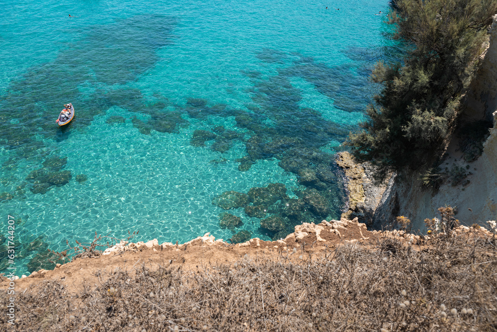 Obraz premium coral reef and sea