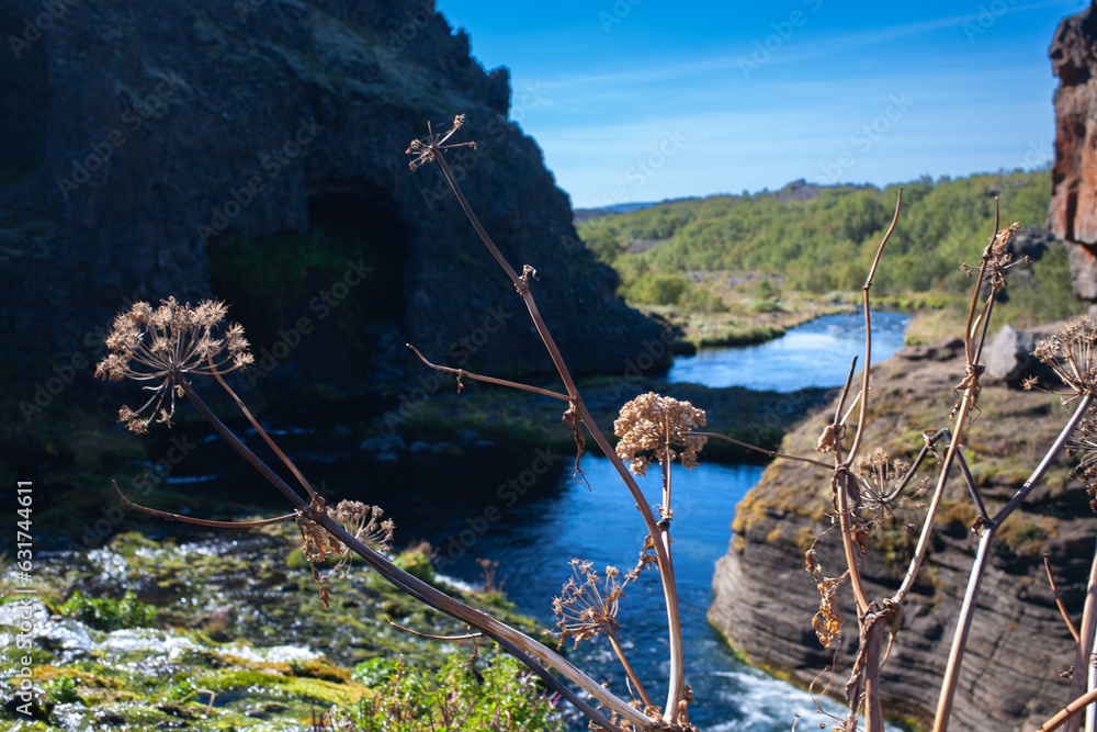 Fototapeta premium Gjáin tranquil, scenic valley with many small waterfalls, ponds and lava rocks, plus volcano views.
