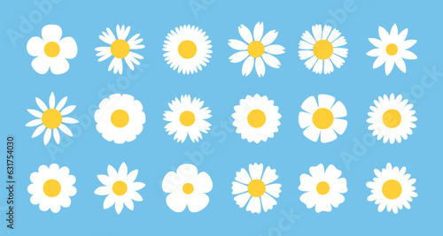 Decorative daisy flowers. Cartoon flat chamomiles. Different shapes and numbers of petals. Beautiful blooming plants. Spring flora. Floral elements. Garden botany. Garish vector set