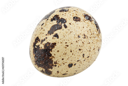 One quail egg isolated on white background. File contains clipping path.