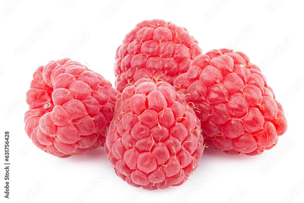 Bunch of raspberry fruits isolated in white background. Isolated berries. Healthy food. File contains clipping path. Bunch of raspberry fruits isolated in white background. Isolated berries. Healthy food. File contains clipping path.