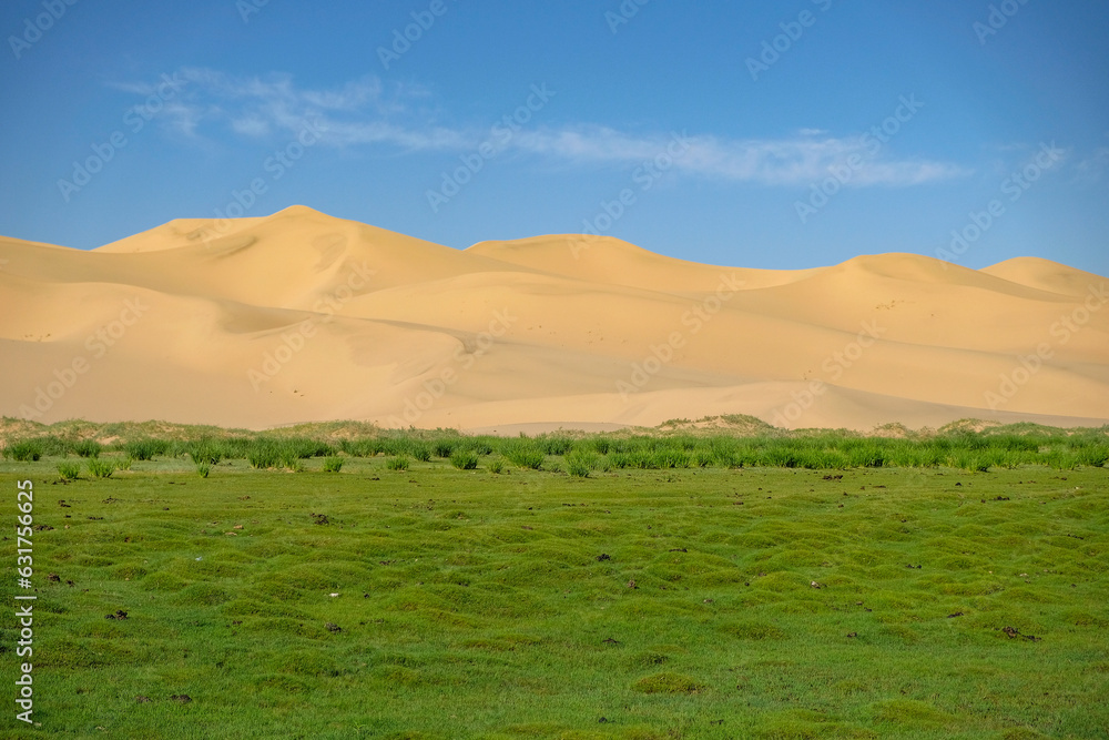 Khongor Sand Dunes in the Gobi Desert in Mongolia. Khongor Sand Dunes in the Gobi Desert in Mongolia.