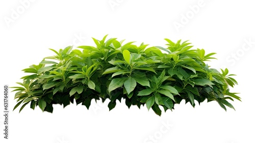 A vibrant green bush against a clean white background created with Generative AI technology