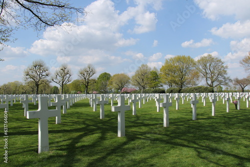 Graves in a military cemetery photo
