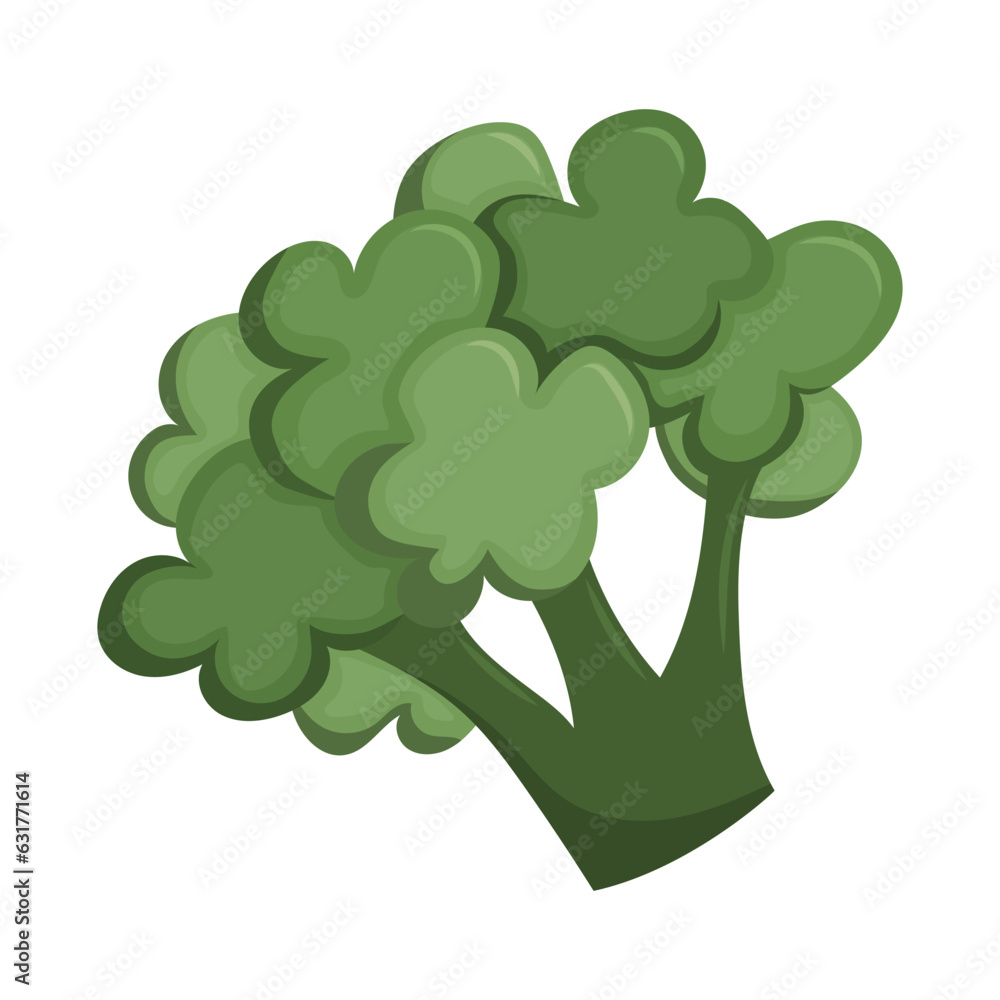 Green broccoli sprouts. Organic vegetable grown on farm. Flat vector illustration isolated on white background. Green broccoli sprouts. Organic vegetable grown on farm. Flat vector illustration isolated on white background.