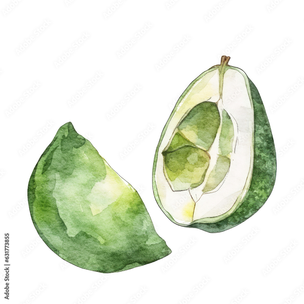 Obraz premium Avocado painted with watercolor isolated on white transparent background