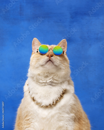 Large red cat in sunglasses and a gold chain around his neck