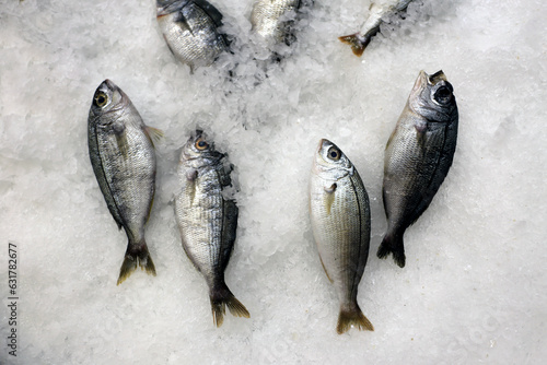 close up of a fresh fish on ice in the supermarket photo