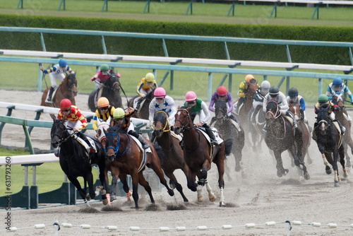  2023年6月25日、阪神競馬場にて、土埃をあげてレースをする馬の写真