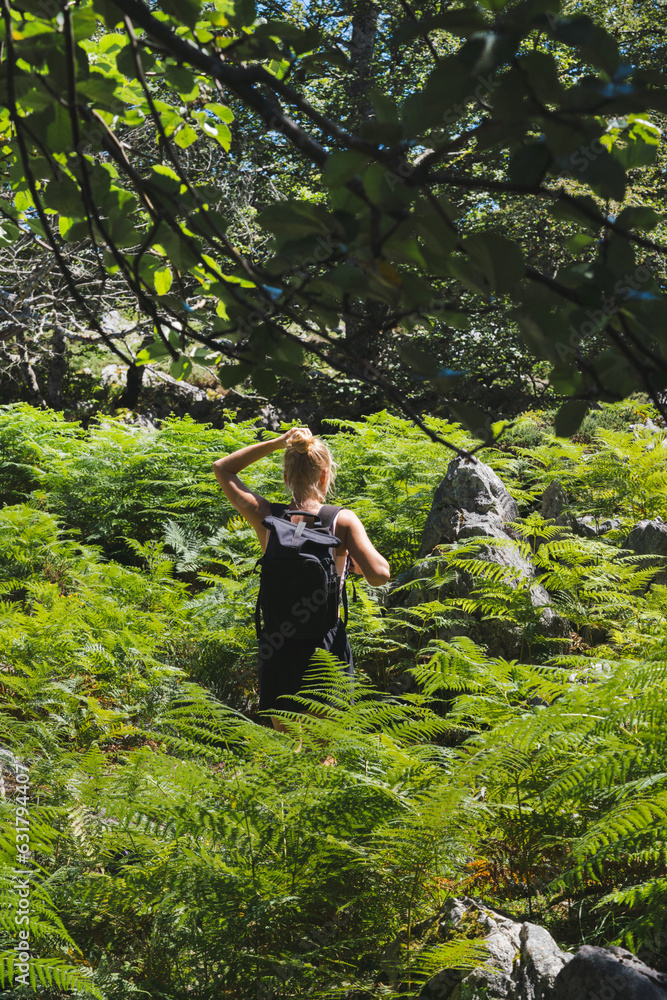 Female hiker wearing backpack standing in the field full of fern Female hiker wearing backpack standing in the field full of fern