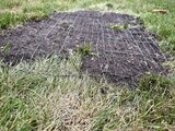 grass in the ground with wire fence on top