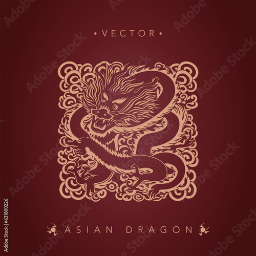 Asian dragon Chinese dragon totem pattern
