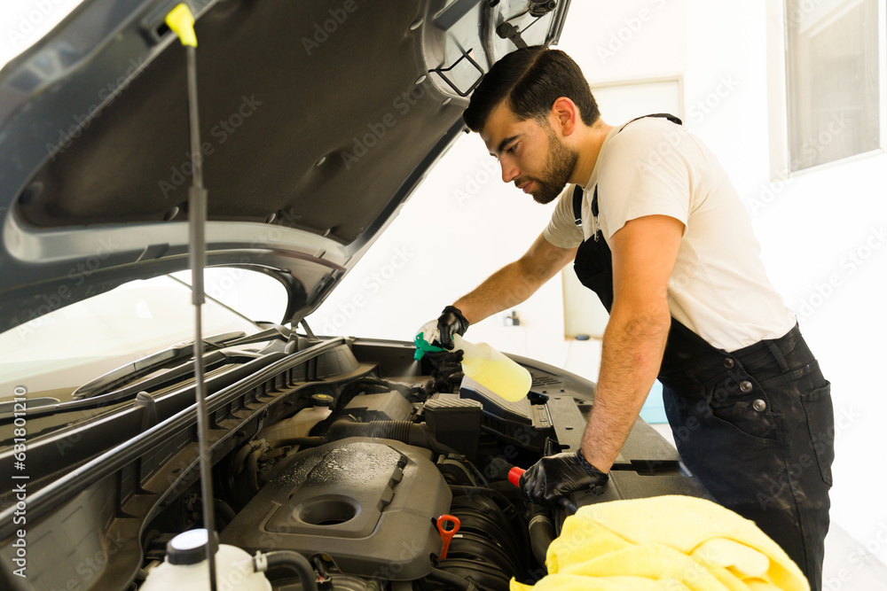 Worker cleaning engine bay at car wash Stock Photo Adobe Stock