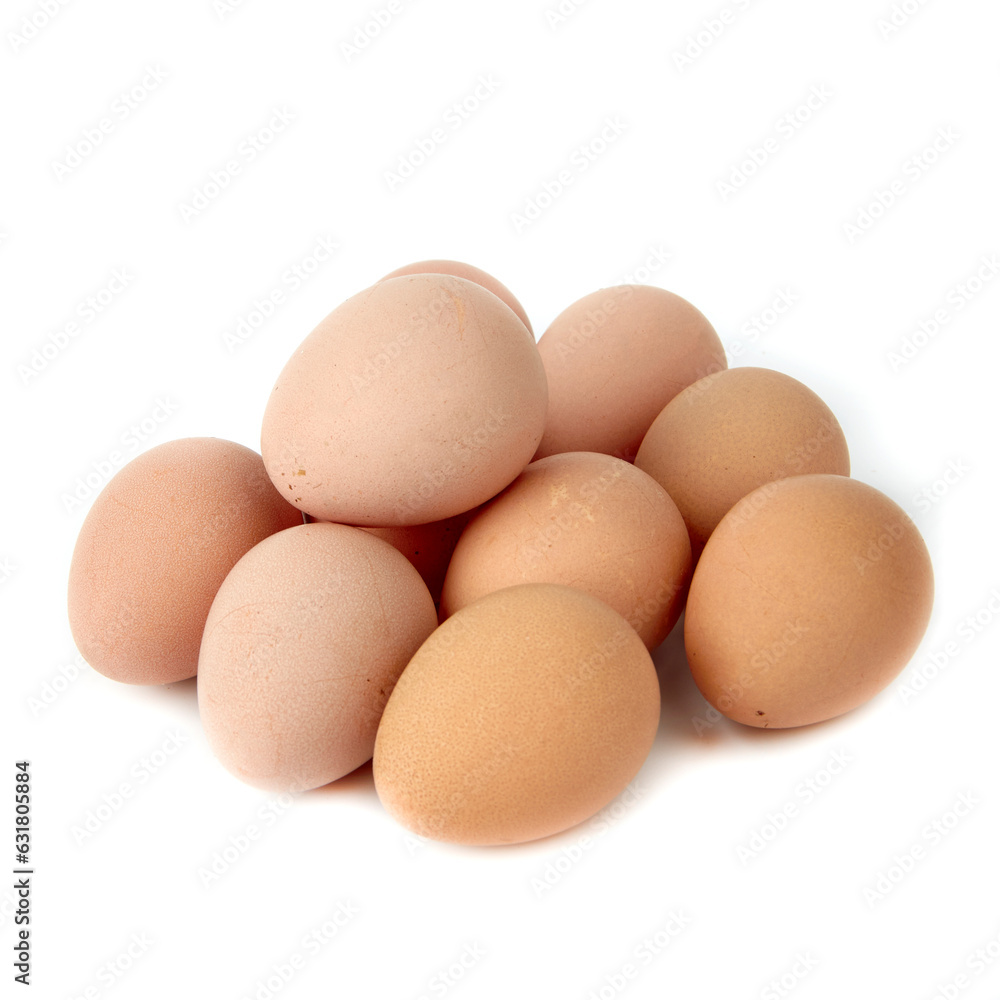 Egg on a white background Egg on a white background