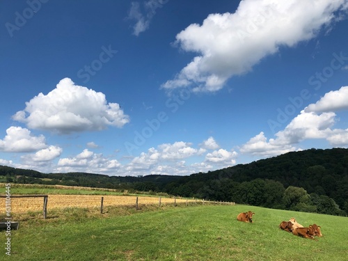 Beautiful Landscape Berchum