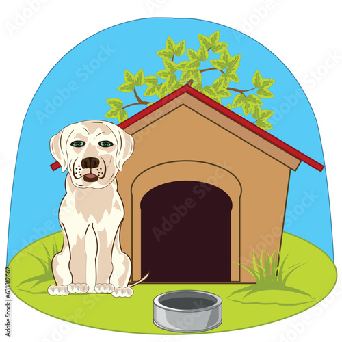 Pets animal dog beside its boxes on glade