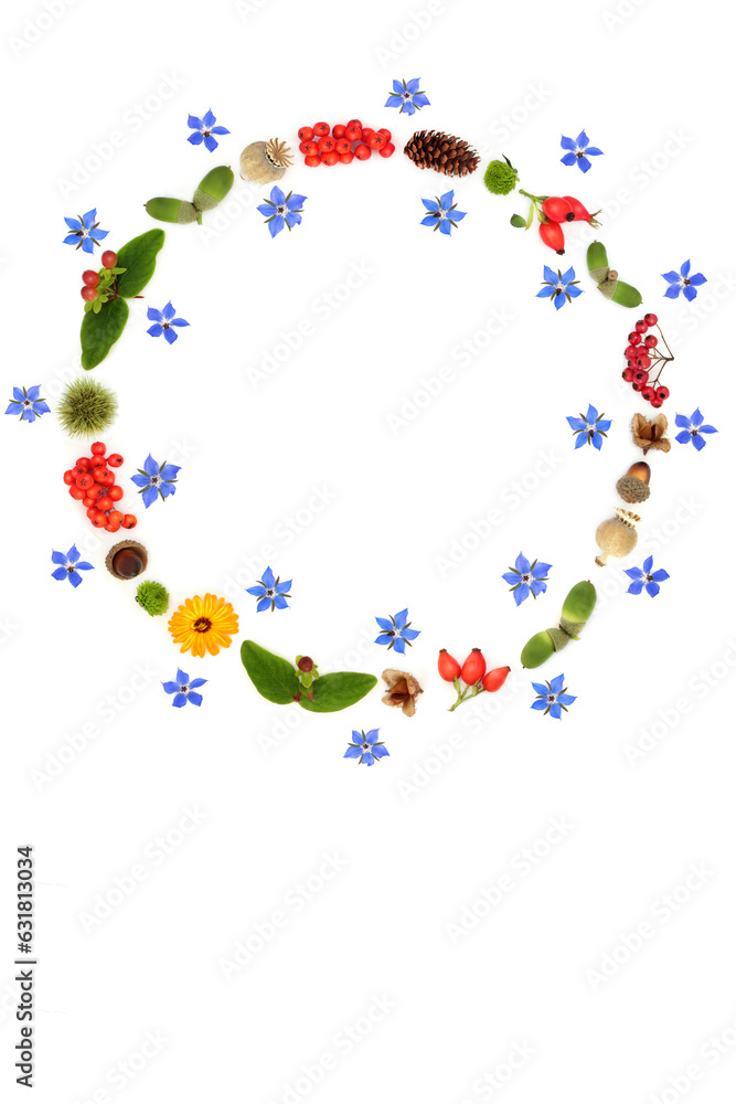 Autumn Fall Thanksgiving wreath with flowers, nuts, berry fruit seed heads and pine cones. Design on white background. Composition for card, label, gift tag, logo.