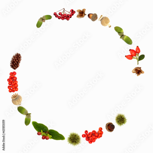 Abstract Autumn Fall Thanksgiving wreath with nuts, berry fruit seed heads and pine cones. Design on white background. Composition for card, label, gift tag, logo.