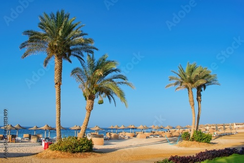 Idylic beach with palms and sun umbrelas  Red Sea  Egypt