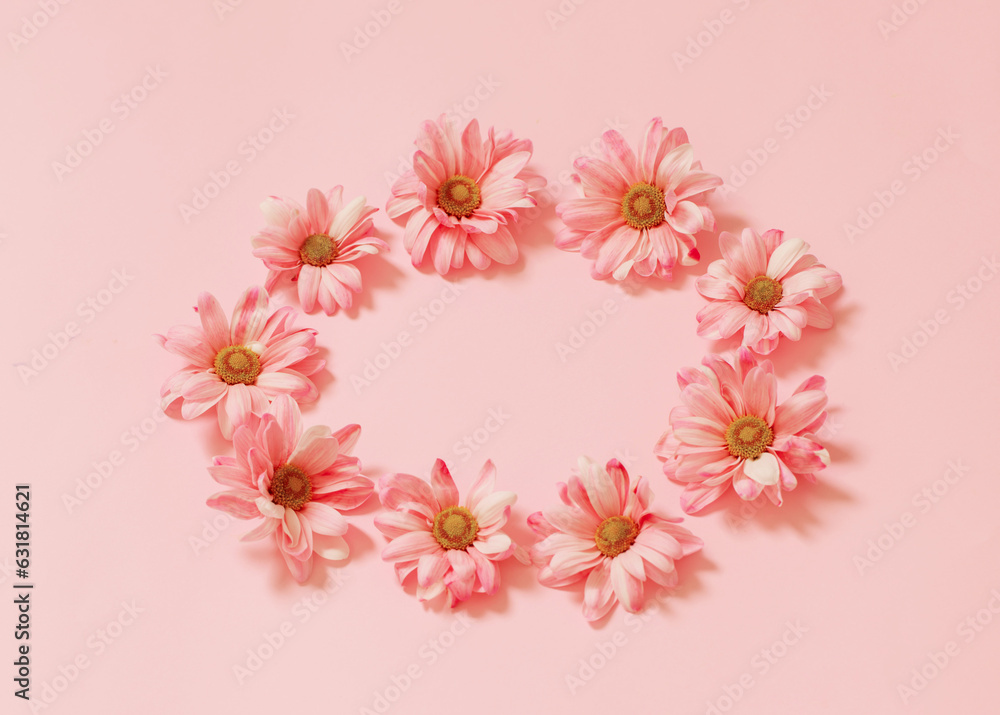 chrysanthemums on pink background background chrysanthemums on pink background background