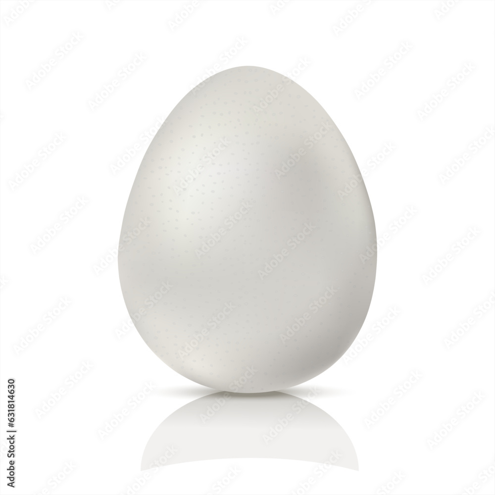 Realistic white chicken egg. Vector illustration isolated on white background. Template for Easter holiday. 3d illustration Realistic white chicken egg. Vector illustration isolated on white background. Template for Easter holiday. 3d illustration