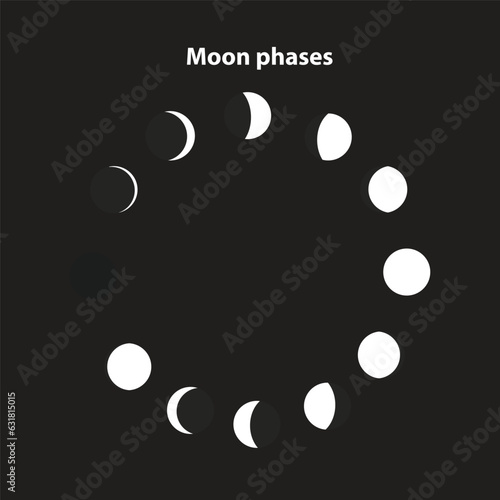 Vector illustration of moon Phases shapes. on a dark background, on white and outlined