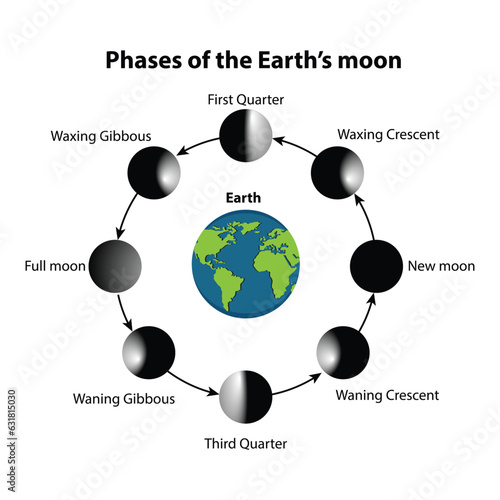 Vector illustration of moon Phases Diagram. on a white background, 