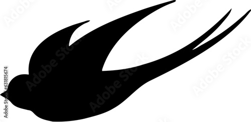 black and white swallow