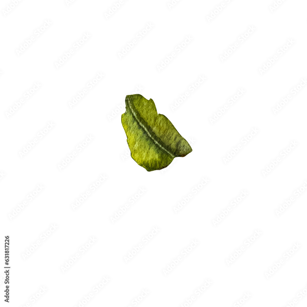 Naklejka premium lemon leaf