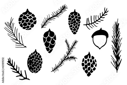 Pine cone and pine tree branch set in doodle style isolated on white background. Winter christmas decoration, winter forest.