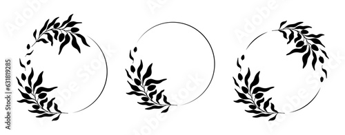 Set of doodle floral, line and leaf circle frames. Olive tree leaves ink style. Vector illustration..