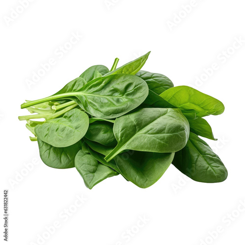 Green spinach leaves on a transparent backround.