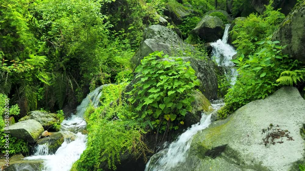 Two Small Streams, with a Lot of Rocks, Moss and Green Plants, Flowing Down