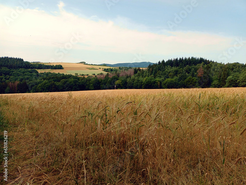 H  gelige Landschaft mit Feldern  B  umen und Wiesen im Sommer im Saarland bei Berschweiler in der Gemeinde Marpingen  Landkreis St. Wendel. Aussicht vom Premium-Wanderweg Biberpfad. 