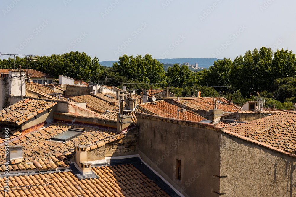 Vue sur les toitures en terre cuite d’Arles jusqu’à l’Abbaye de Montmajour à l’horizon depuis l’Eglise Notre-Dame-de-la-Major