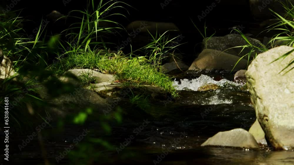 Beautiful landscape of transparent water flowing in summer, Environment or nature, Nobody, Slow motion Beautiful landscape of transparent water flowing in summer, Environment or nature, Nobody, Slow motion