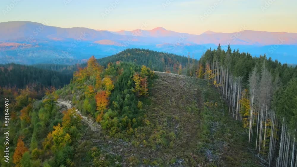 Aerial view of dark mountain hills covered with bare patches as result of cut down forest pine trees. Deforestation process at autumnal sunrise. Beautiful wild woodland at threat Aerial view of dark mountain hills covered with bare patches as result of cut down forest pine trees. Deforestation process at autumnal sunrise. Beautiful wild woodland at threat