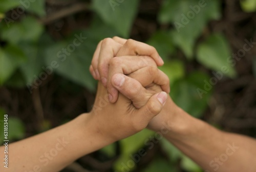 Hands together with bottom of green wall with plants
