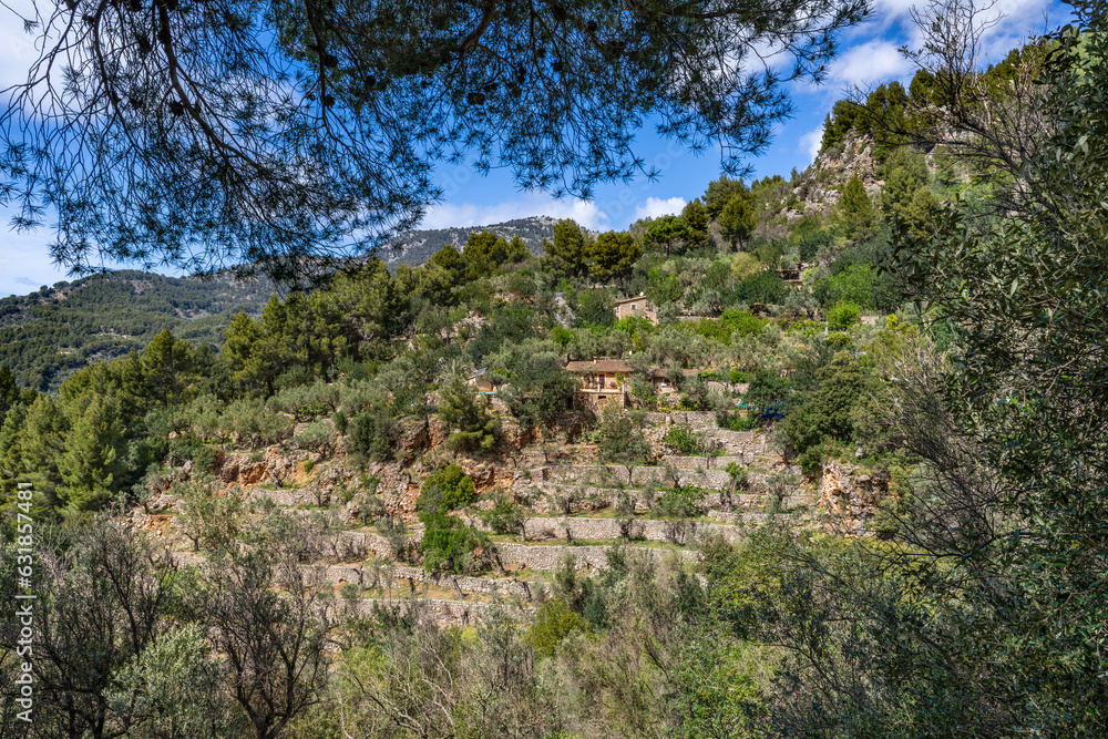 Majorca, Spain. Landscape and hiking trail near Sóller and Fornalutx. Majorca, Spain. Landscape and hiking trail near Sóller and Fornalutx.